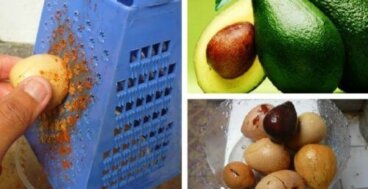 건강과 미용을 위한 아보카도 씨앗의 10가지 효능