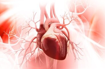 심장 건강을 개선시켜주는 3가지 방법