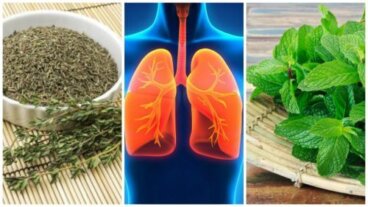 폐 건강에 도움이 되는 8가지 허브