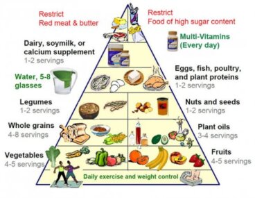새로운 식품 피라미드에 대해 알아보자
