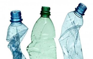 플라스틱 병을 다시 활용하는 12가지 재미있는 방법