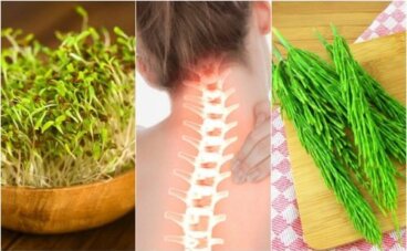뼈 건강을 개선하는 7가지 약용 식물