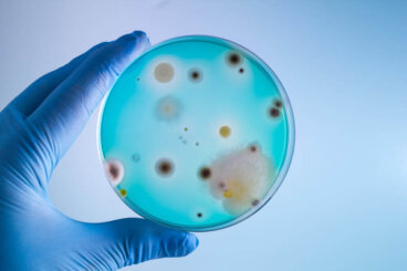 인간에게 유해한 9가지 박테리아