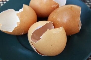달걀 껍질을 활용하는 6가지 방법