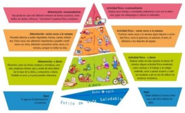 NAOS 피라미드: 청소년 비만의 예방 전략